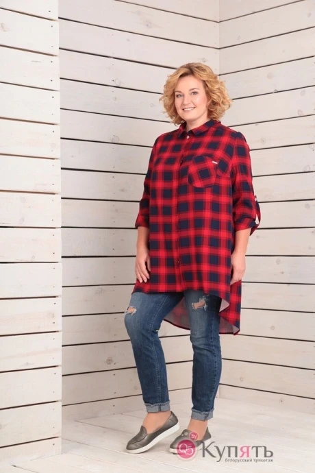 Блузка, туника, рубашка ALGRANDA (Novella Sharm) 2820 #1