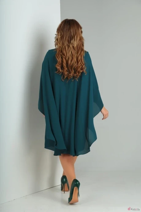 Danaida 1724