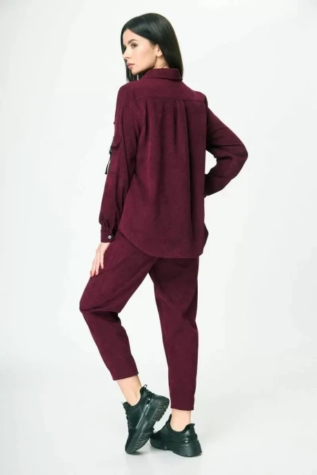 Anelli 1041