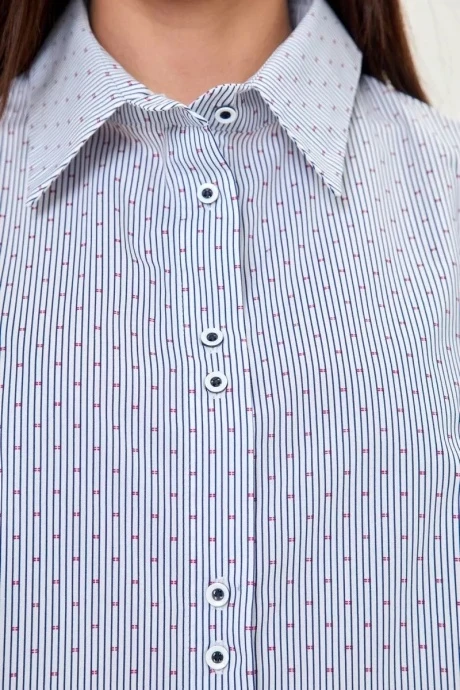 Anelli 1266