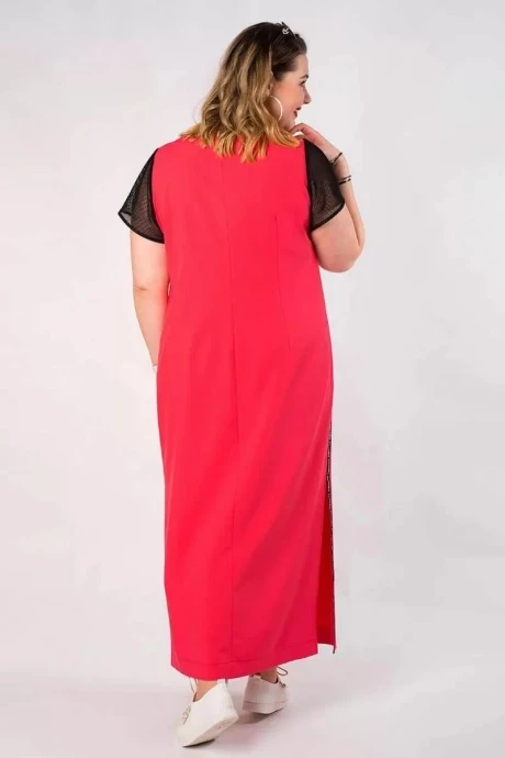 Camelia 20249/4