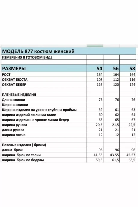 Bagira 877