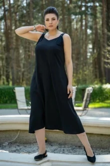 ANDINA 817