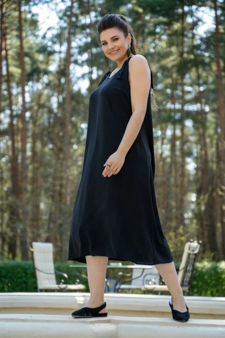 ANDINA 817