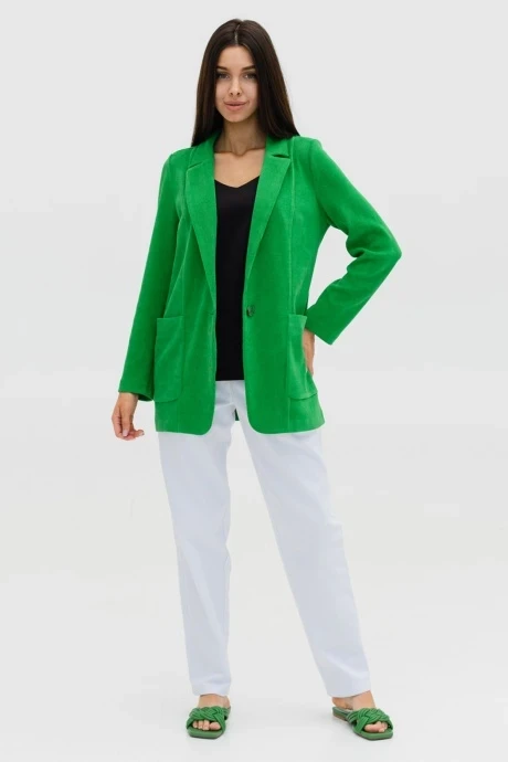 Брюки Ivera Collection 2053 #1