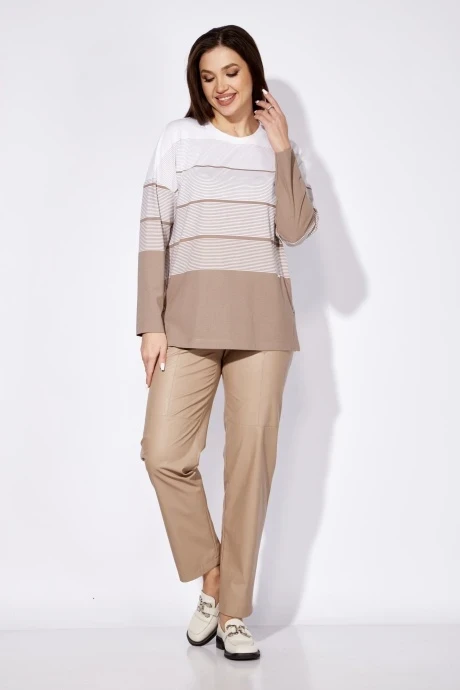 TAiER 1265