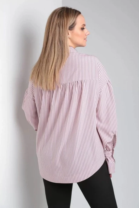 MODEMA 551/2