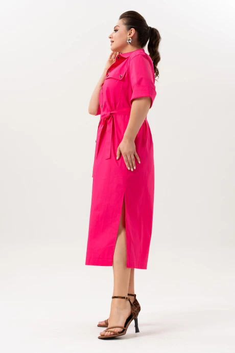 ANDINA 835-1
