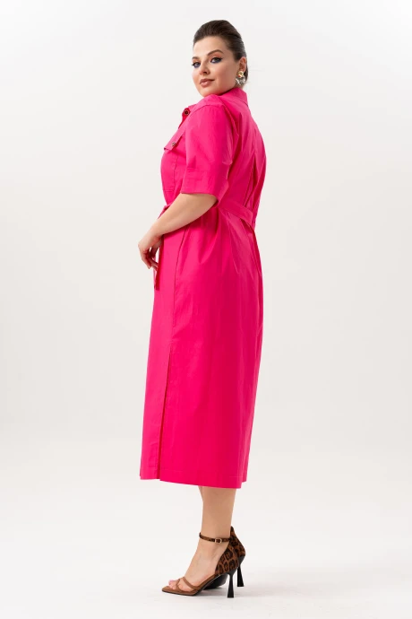 ANDINA 835-1