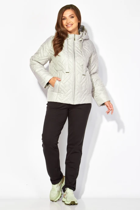 TAiER 1396