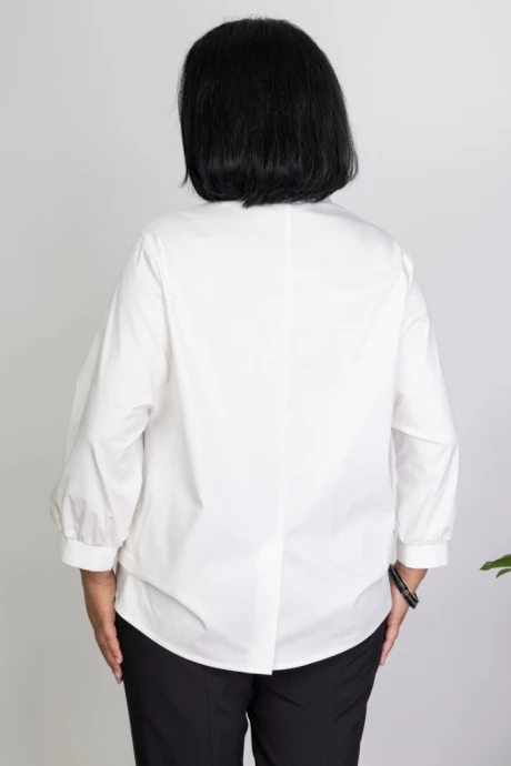 Camelia 2520/1