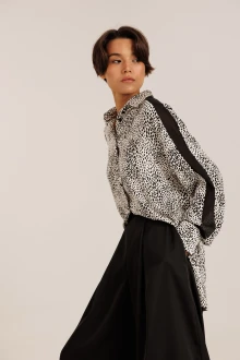 DILIA 6.004
