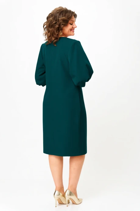 Багряница 3170