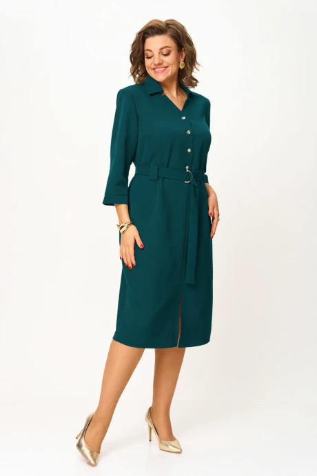 Багряница 5100