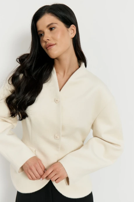 Жакет (пиджак) ATTIKA A3523 #1