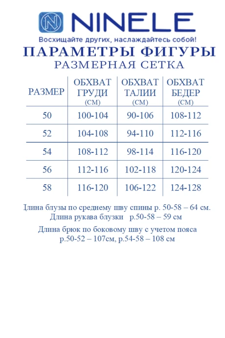 Нинель Шик 6107