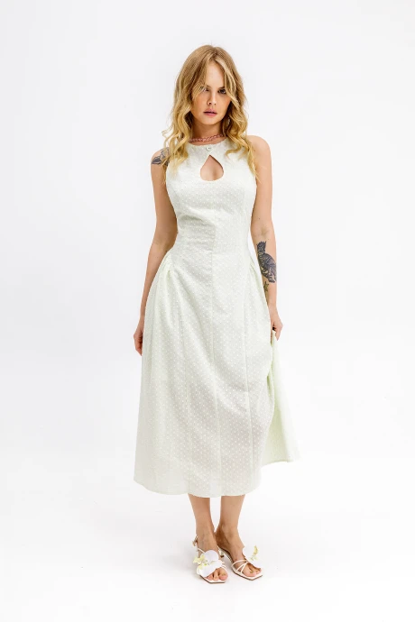 PiRS 6885